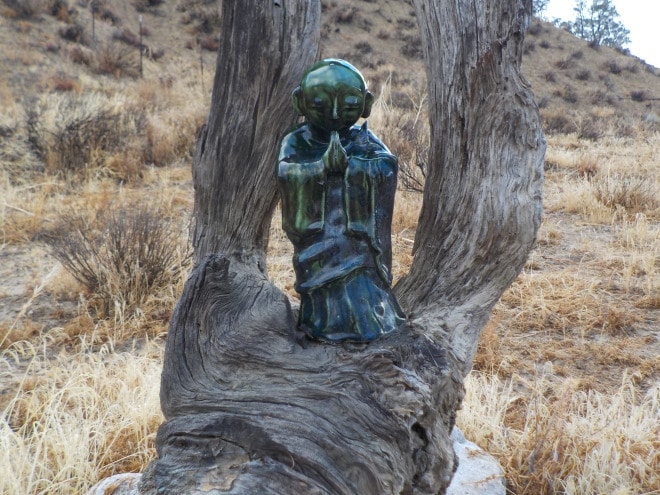 Buddha_Never_Despise